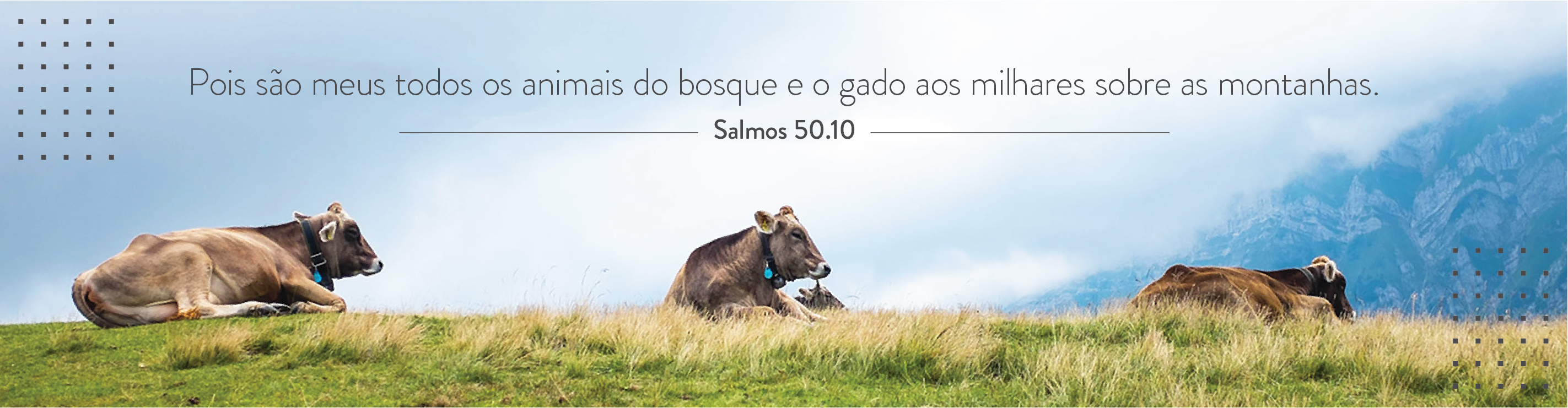 https://nazarene.org./sites/default/files/2021-10/pt-br_WebsiteBanner_Mobile_CR1.png