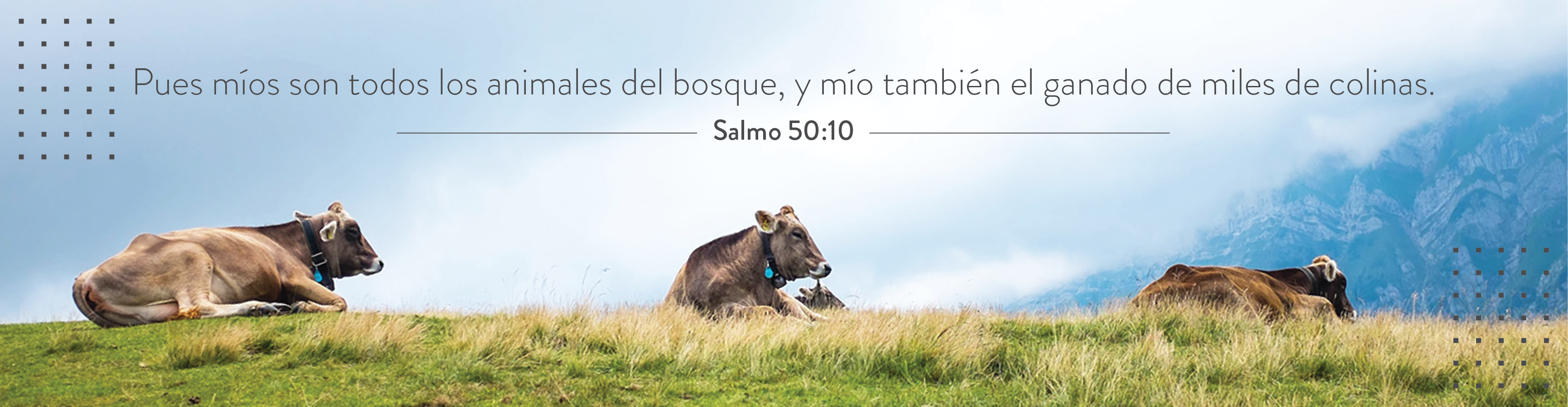 https://nazarene.org./sites/default/files/revslider/image/WebsiteBanner_CR_ES-01.png